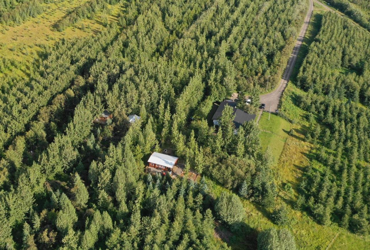 Bakkakot 3 Cozy Cabin In The Woods Akureyri Exterior foto
